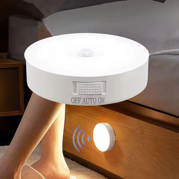 Nestara™ Intelligent Induction Lamp